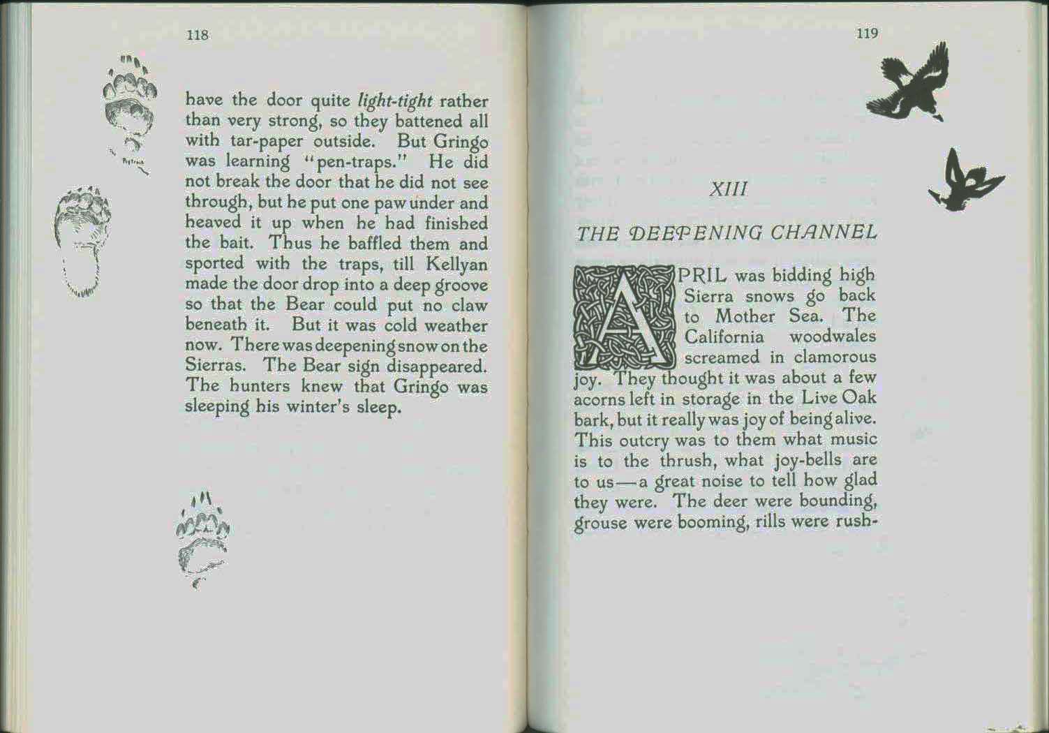 MONARCH, the Big Bear of Tallac in the Lake Tahoe High Sierra. vist0040h